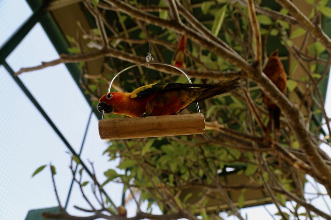 Manas Resort With Petting Zoo, Igatpuri Eksteriør billede