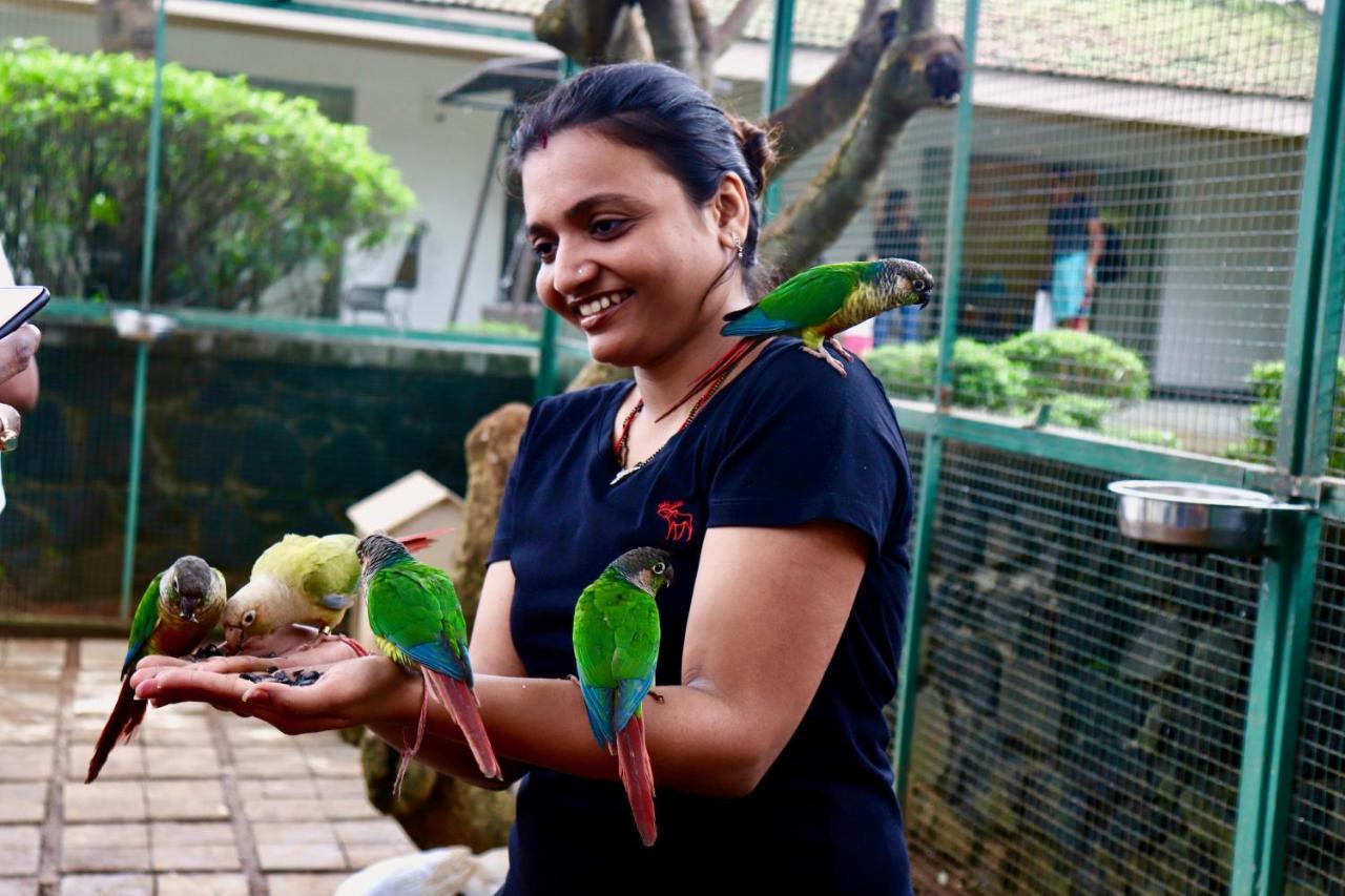 Manas Resort With Petting Zoo, Igatpuri Eksteriør billede