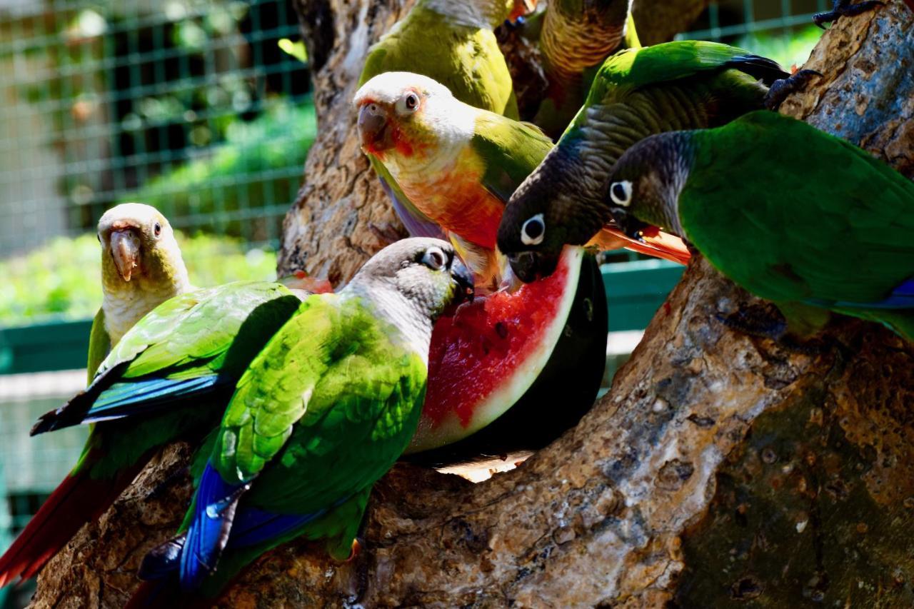 Manas Resort With Petting Zoo, Igatpuri Eksteriør billede